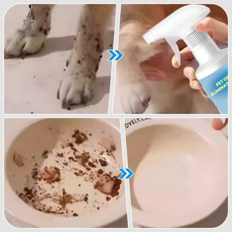 🐱🐶Eliminatore di odori per animali domestici Spray - Image 7