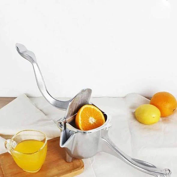 Estrattore di succo in acciaio inossidabile - Image 10