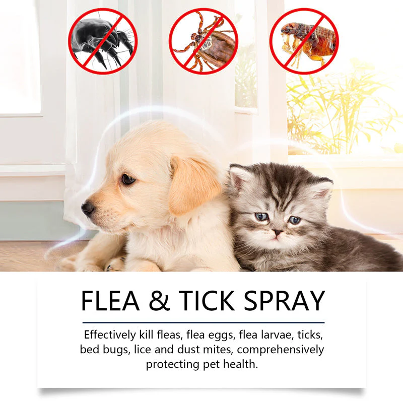 🍃Spray naturale contro pulci e zecche per cani e gatti🐾 Proteggi il tuo amato animale domestico dai parassiti - Image 2