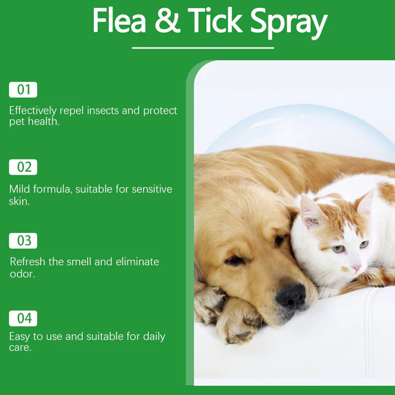 🍃Spray naturale contro pulci e zecche per cani e gatti🐾 Proteggi il tuo amato animale domestico dai parassiti - Image 4