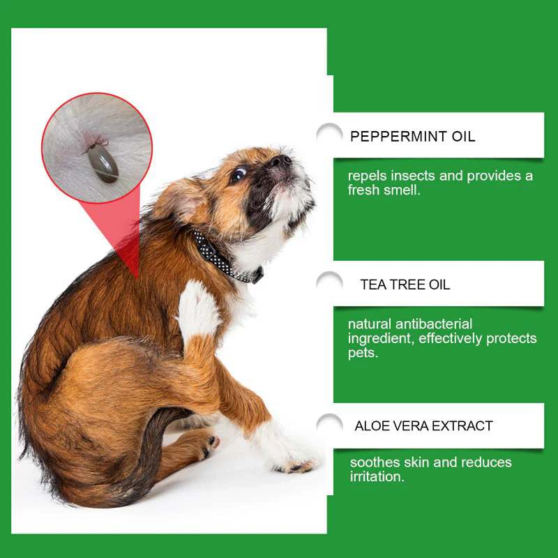 🍃Spray naturale contro pulci e zecche per cani e gatti🐾 Proteggi il tuo amato animale domestico dai parassiti - Image 5