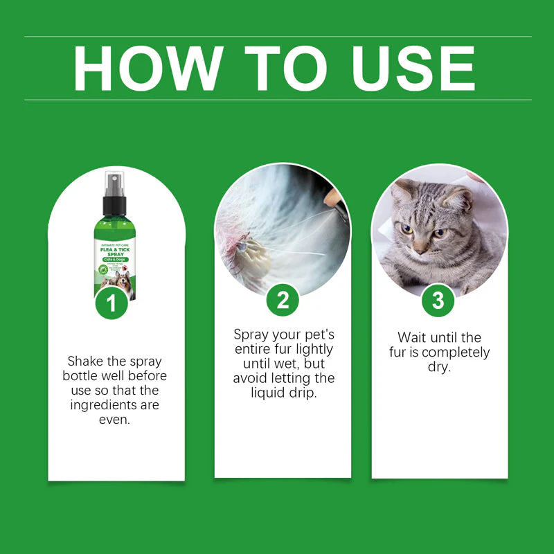 🍃Spray naturale contro pulci e zecche per cani e gatti🐾 Proteggi il tuo amato animale domestico dai parassiti - Image 7