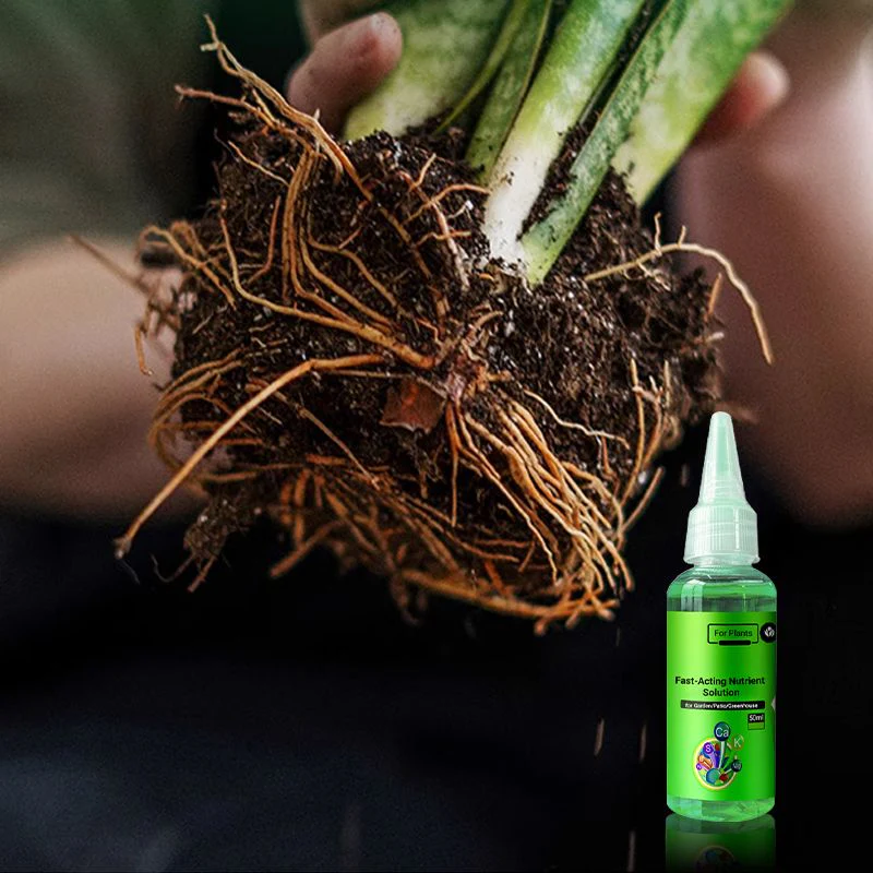🌹Soluzione nutritiva per piante a effetto rapido: Si rifornisce rapidamente, cresce forte, rigogliosa e verde.🌹 - Image 2