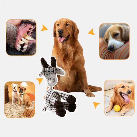 Giocattolo di peluche per cani cigolante, molto venduto nel 2023🔥🔥🔥 - Image 12
