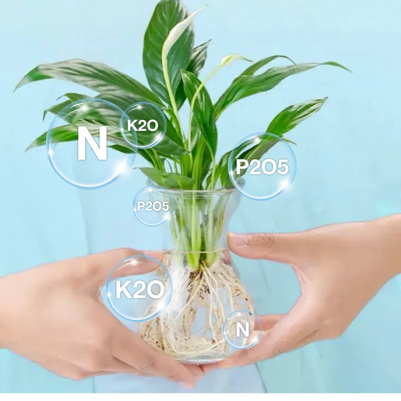 Soluzione nutritiva idroponica per la crescita delle piante successo - Image 3