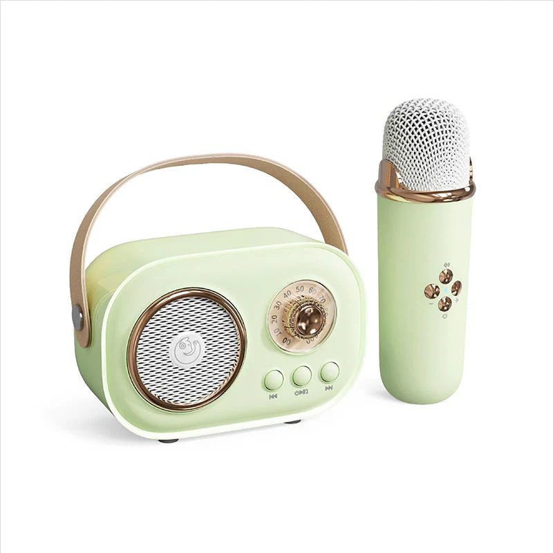 Altoparlante Bluetooth portatile con microfono wireless - Image 12