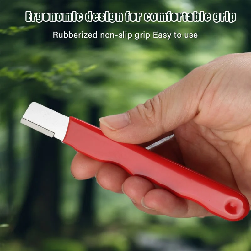 Portatile Affilatrice Veloce - Image 3