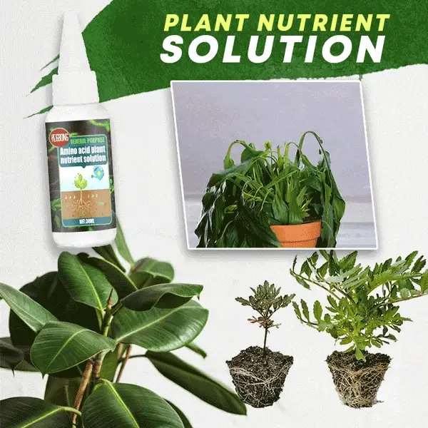 🔥Acquista 1 e ricevi 1 gratis (2 pezzi)🔥Soluzione nutritiva per piante