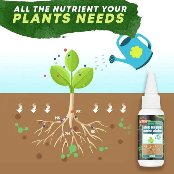 🔥Acquista 1 e ricevi 1 gratis (2 pezzi)🔥Soluzione nutritiva per piante - Image 2