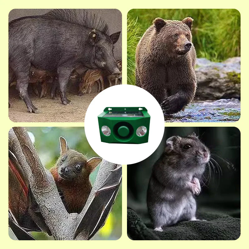 Luci di avvertimento solari repellenti per animali che fanno un forte rumore - Image 6