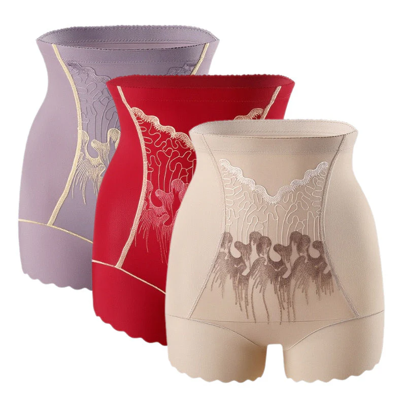🏆Culotte Gainante Femme Haute Taille avec Contrôle du Ventre🌿👑 - Image 18